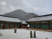 전남 영광에 있는 불갑사 사진 몇장 | 보배드림 유머게시판