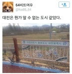 대전은 뭔가 알 수 없는 도시 같았다 | 보배드림 유머게시판