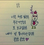 동물들의 사랑고백 | 보배드림 유머게시판