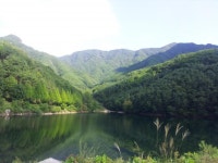 캠핑장의 코란도스포츠 | 보배드림 국산차게시판