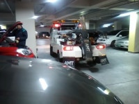 결국 렉카출동 | 보배드림 국산차게시판