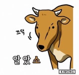 휠 발란스, 얼라이먼트 | 보배드림 국산차게시판