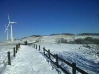 남도에서는 사치인 옵션 | 보배드림 국산차게시판