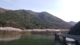 [진지한 질문]국게에서 | 보배드림 국산차게시판