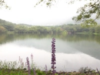 오늘 후텁지근 하네요. | 보배드림 국산차게시판