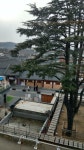 중고차장수님! | 보배드림 국산차게시판