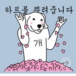 간식 | 보배드림 국산차게시판
