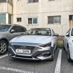 라페스타 실물 영접 | 보배드림 국산차게시판