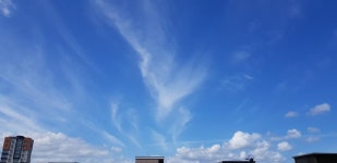 파란하늘 감상하고 가세요 | 보배드림 국산차게시판