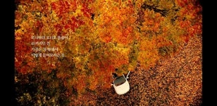 오디오 볼륨이45 까지 있는 이유 | 보배드림 국산차게시판