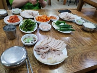 수백 | 보배드림 국산차게시판
