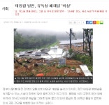 중동새끼들도 빠가사리인게 널린게 빛인데 태양광이나 하지ㅋㅋ | 보배드림 시사이슈
