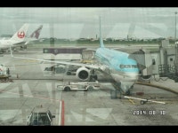 2014년8월 | 보배드림 항공/해운/철도