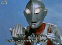 드루와 드루와 | 보배드림 유머게시판