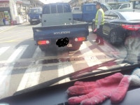 멍....미...? | 보배드림 유머게시판