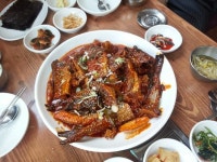 속초명가 오늘은 이거 먹자... | 보배드림 유머게시판