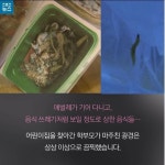 어린이집 급식 | 보배드림 유머게시판