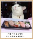 제목학원 | 보배드림 유머게시판