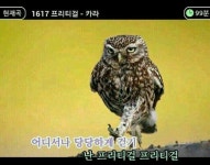 언제 어디서나 당당하게 걷기 | 보배드림 유머게시판