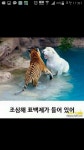 학원 | 보배드림 유머게시판