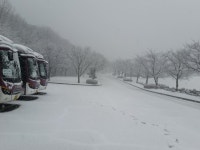 현재 천안 날씨 | 보배드림 유머게시판