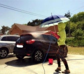 세차 클라스 | 보배드림 유머게시판