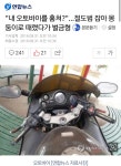 도둑놈을 잡아도 | 보배드림 유머게시판