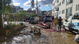 울산 태화시장 다녀 왔습니다. | 보배드림 유머게시판
