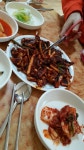낮에 갔다왔던 예천 용궁단골식당... | 보배드림 유머게시판