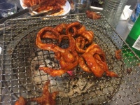 꼼장어 맛나네요 | 보배드림 유머게시판