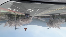 창원벚꽃 | 보배드림 유머게시판