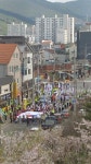 현시각 경남 김해 진영 박사모 상황 | 보배드림 유머게시판