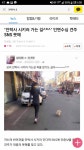 멀쩡한 강아지 안락사 SNS 인증 | 보배드림 유머게시판