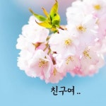 「좋은글」 친구여... | 보배드림 유머게시판