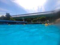 지금 내가 뭘했을까  ⊙⊙ | 보배드림 유머게시판