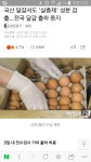 친환경 농장 실태 | 보배드림 유머게시판