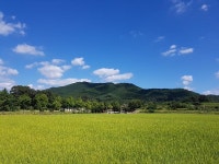 안동 하회마을과 안동댐 여행 | 보배드림 유머게시판