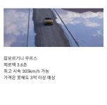 람보르기니에서 내놓은 황금두꺼비 수퍼카 | 보배드림 유머게시판