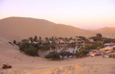 오아시스 | 보배드림 유머게시판