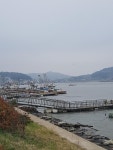 ㅋ | 보배드림 유머게시판