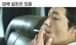 조씨  는 사회에서도 거르는게 맞겟죠? | 보배드림 유머게시판