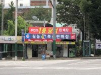 엄청난 로또 명당 | 보배드림 유머게시판