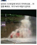 자연세차 | 보배드림 유머게시판