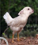 형들이거실존하네 | 보배드림 유머게시판