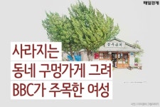 사라져가는 동네 구멍가게 그림 BBC주목 | 보배드림 유머게시판