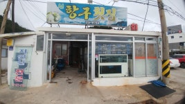 ♥ 점심은 물회! | 보배드림 유머게시판