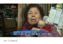 반려견 놀랄까봐 귀부터 꼭 막아준 할머니 | 보배드림 유머게시판