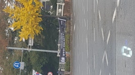 어제 출근길에.. 국립현충원 앞 삼거리 | 보배드림 유머게시판
