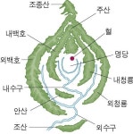 명당 | 보배드림 유머게시판