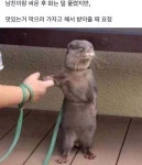 남친이랑 싸운뒤 | 보배드림 유머게시판